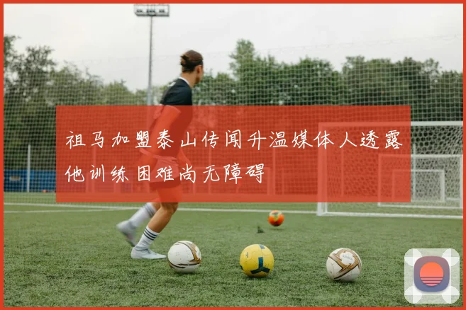 祖马加盟泰山传闻升温媒体人透露他训练困难尚无障碍